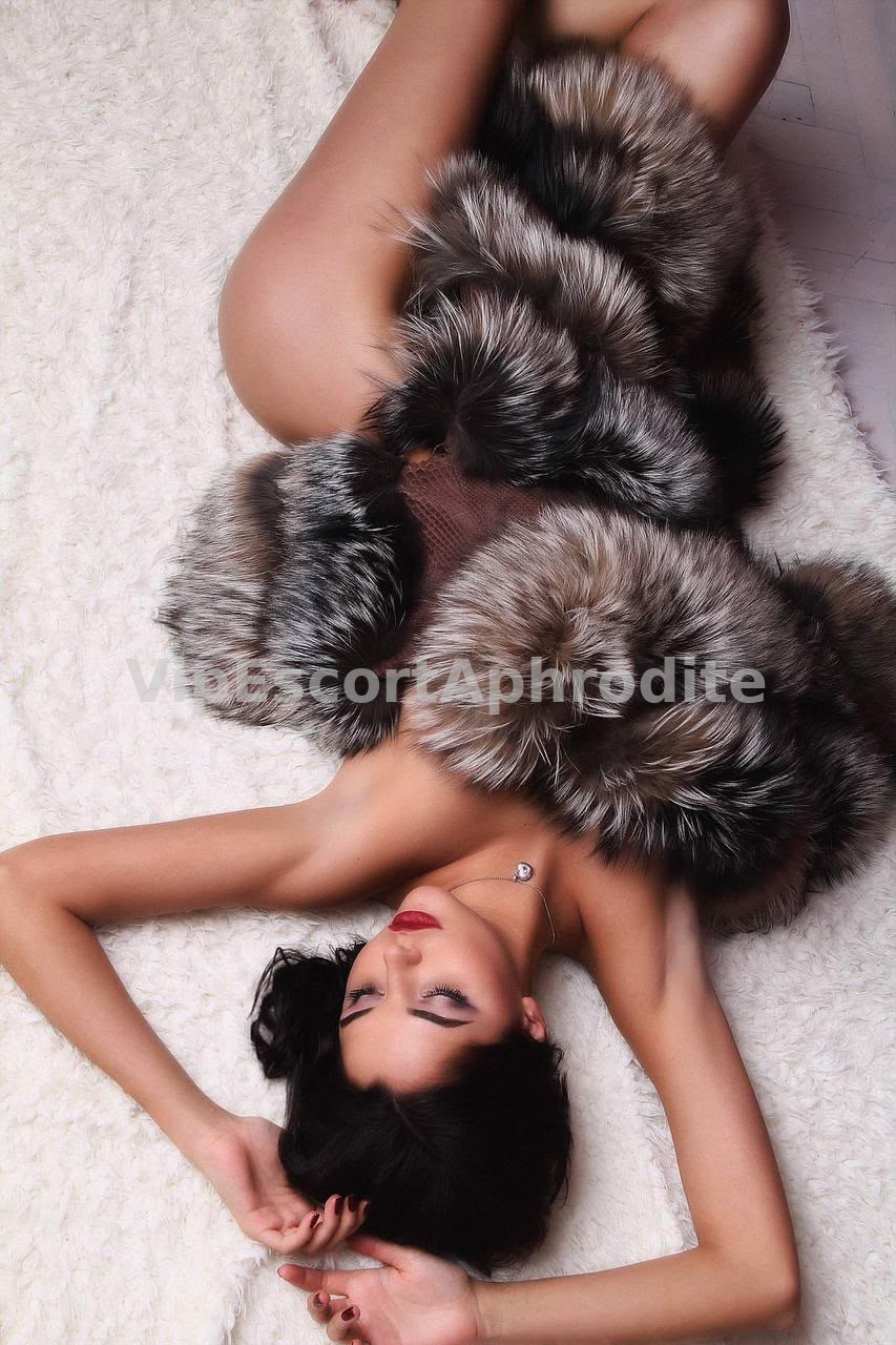 ARINA